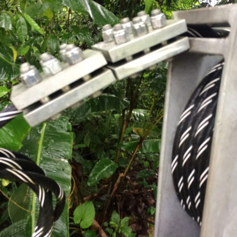 WhatsApp Image 2021-03-11 at 13.36.44 (1)