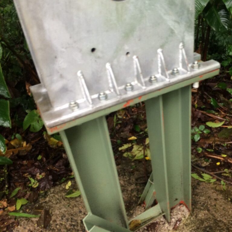 WhatsApp Image 2021-03-11 at 13.36.45